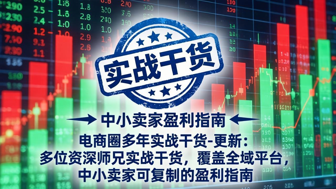 电商圈多年实战干货-更新4月：多位资深师兄实战干货，覆盖全域平台，中小卖家可复制的盈利指南-董叔项目网