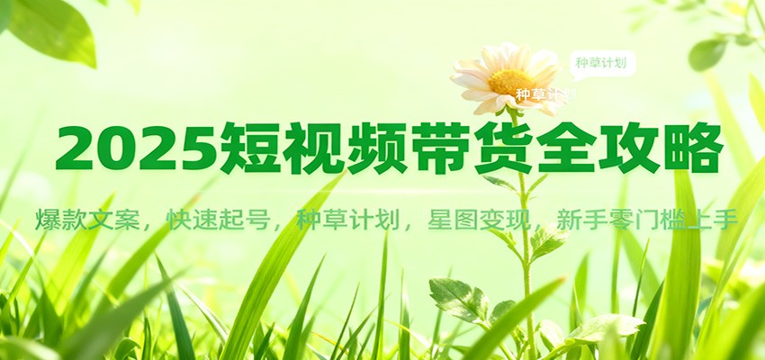 2025短视频带货全攻略:爆款文案,快速起号,种草计划,星图变现,新手零门槛上手-董叔项目网