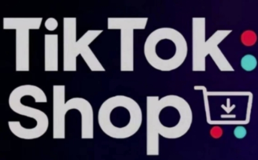 TikTokShop跨境电商0-1实战，手把手教你低成本启动海外市场(更新)-董叔项目网