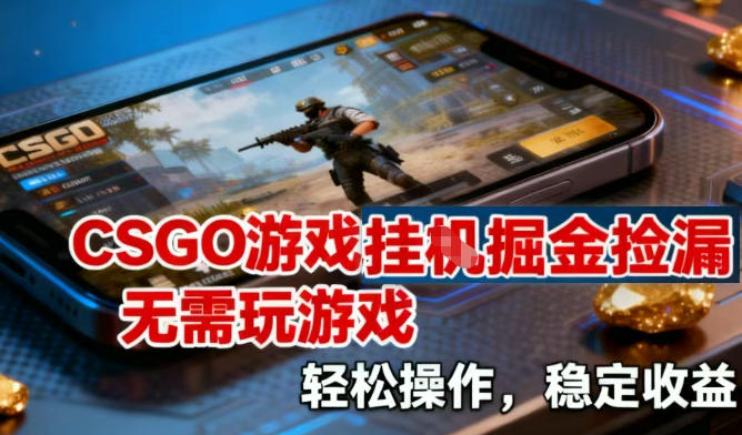 CSGO游戏挂G掘金捡漏，不需要玩游戏，操作简单，收益稳定【揭秘】-董叔项目网