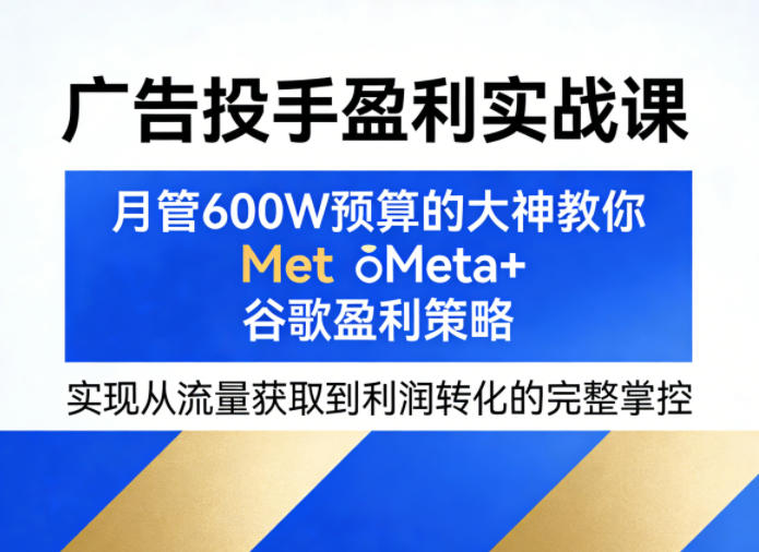 广告投手盈利实战课，月管600W预算的大神教你Meta+谷歌盈利策略，实现从流量获取到利润转化的完整掌控-董叔项目网