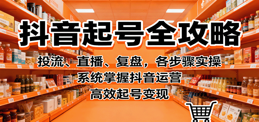 抖音起号全攻略，投流、直播、复盘，各步骤实操，系统掌握抖音运营，高效起号变现-董叔项目网