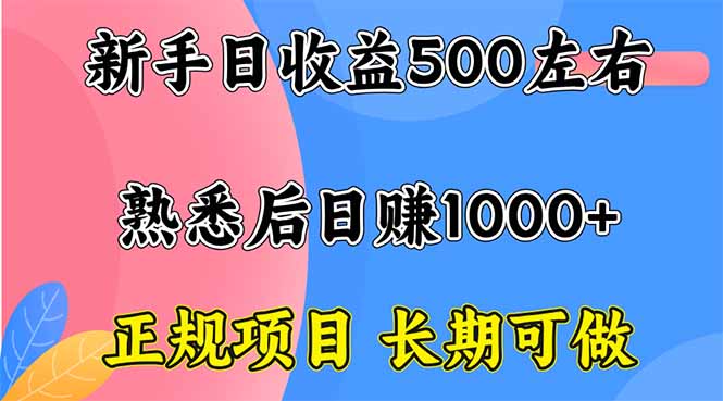 新手日收益500+ 正规项目 长期可做-董叔项目网