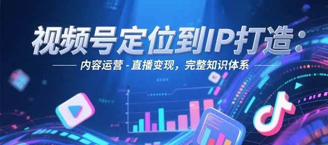 视频号定位到IP打造：账号搭建-内容运营-直播变现，完整知识体系-董叔项目网