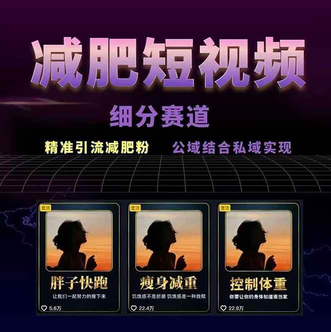 图片[2]-减肥短视频运营实战课：含素材制作、剪映教学，讲精准引流、变现设计与内容模板技巧-董叔项目网