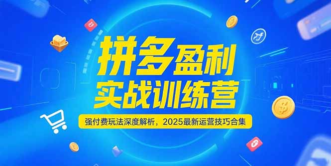 拼多多盈利实战训练营，强付费玩法深度解析，2025运营技巧合集-更新6月-董叔项目网