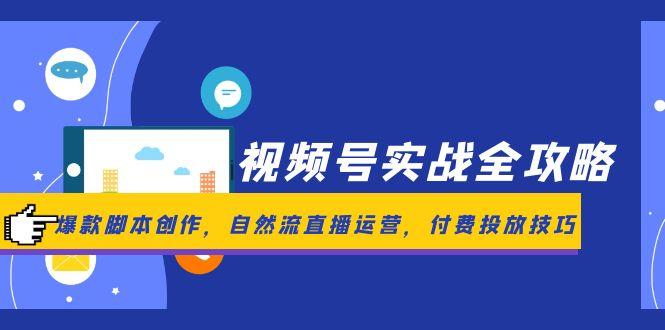 视频号实战全攻略,爆款脚本创作,自然流直播运营,付费投放技巧-董叔项目网