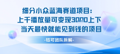 小众蓝海赛道项目：当天变现1k+适合新手操作 +适合长期玩-董叔项目网