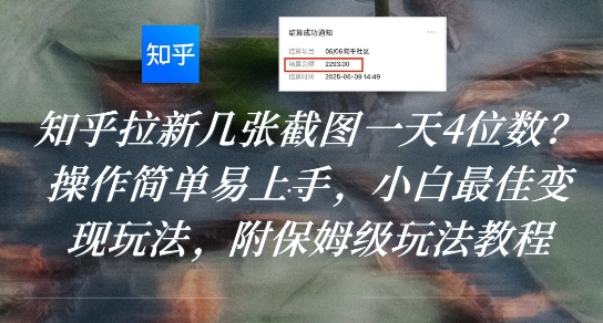 知乎拉新几张截图一天4位数？操作简单易上手，小白最佳变现玩法，附保姆级玩法教程-董叔项目网