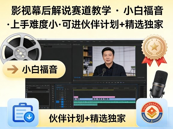 某大佬的影视幕后解说赛道教学，小白福音，上手难度小，可进伙伴计划+精选独家-董叔项目网