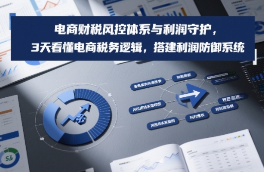 电商财税风控体系与利润守护，3天看懂电商税务逻辑，搭建利润防御系统-董叔项目网