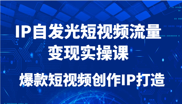 IP自发光短视频流量变现实操课，爆款短视频创作IP打造-董叔项目网