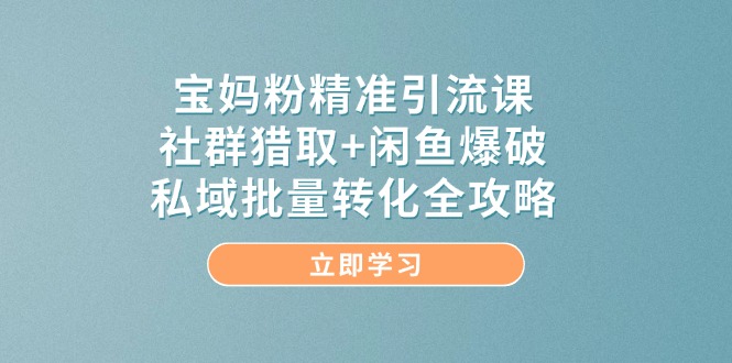 宝妈粉精准引流课，社群猎取+闲鱼爆破，私域批量转化全攻略-董叔项目网
