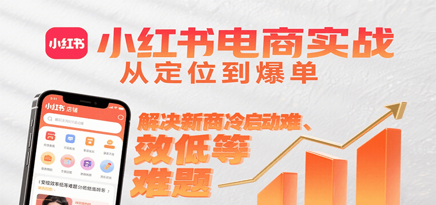 小红书电商实战，从定位到爆单解决新商冷启动难、变现效率低等难题-董叔项目网