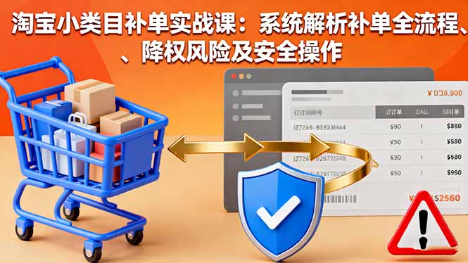 淘宝小类目补单实战课：系统解析补单全流程、降权风险及安全操作-董叔项目网
