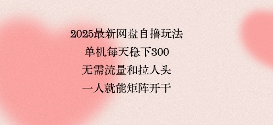 2025最新网盘自撸玩法，单机每天稳下3张，无需流量和拉人头，一个人就可轻松矩阵，全网独一份【揭秘】-董叔项目网