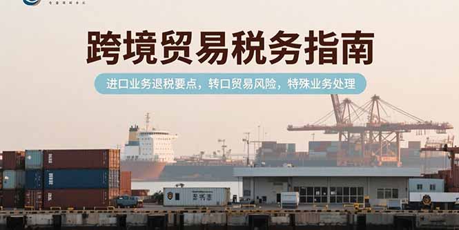 跨境贸易税务指南，进口业务退税要点，转口贸易风险，特殊业务处理-董叔项目网