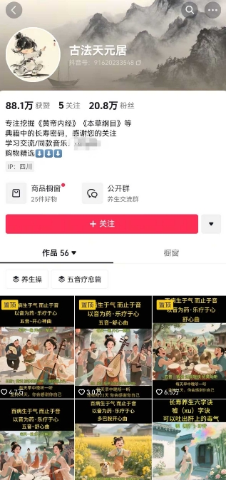 古法五音养生教程，五音疗愈的视频的制作方法，2-4小时就能学会，作者10天涨粉10W-董叔项目网