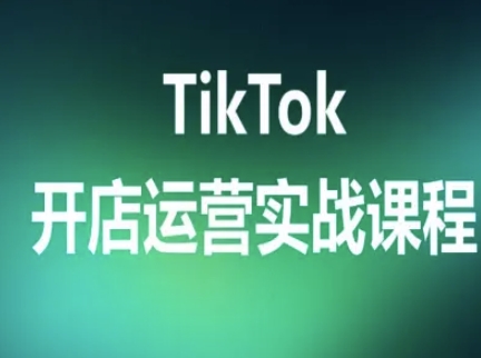 TikTok开店运营实战课程，TK跨境电商实操全流程-董叔项目网