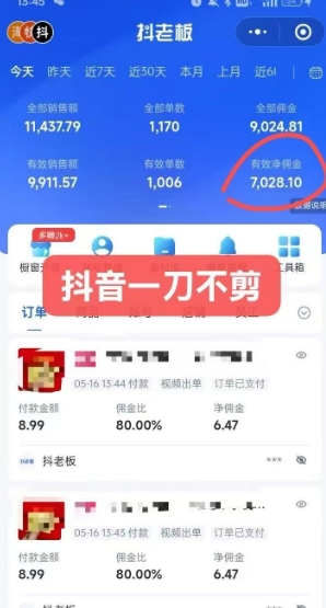 抖音短视频一刀不剪带货，不剪辑，不直播，每天发个视频，等着出单获取带货佣金-董叔项目网