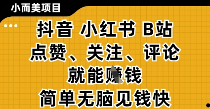 小而美的项目，抖音小红书B站视频点赞、关注、评论就能挣钱，简单无脑立见收益，妥妥的零撸项目【揭秘】-董叔项目网