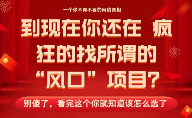马上26年了,你还在找所谓的风口项目?别傻了,看完这个你全都懂了!【揭秘】-董叔项目网