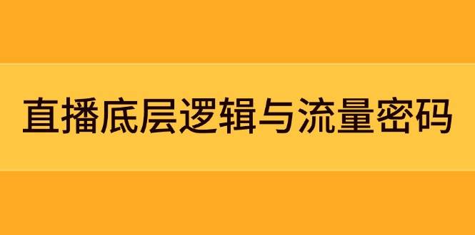 直播底层逻辑与流量密码：定位模型+案例拆解，急速流承接与数据优化全攻略-董叔项目网