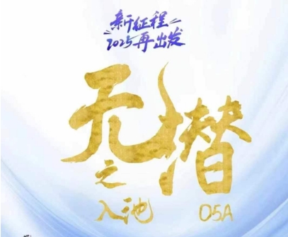 无潜不起全域入池方法论,2025再出发,全程干货满满,带你掌握全域入池关键技巧-董叔项目网