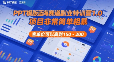 PPT模版蓝海赛道副业特训营1.0,项目非常简单粗暴,客单价可以高到150-200-董叔项目网