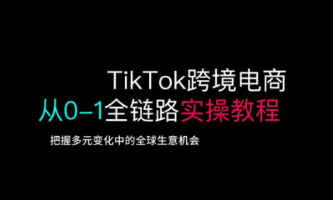 TikTok电商运营从基础到高阶全方位实操-董叔项目网