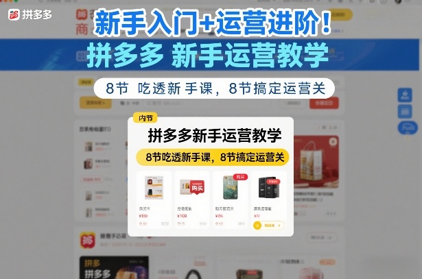 新手入门+运营进阶！拼多多新手运营教学，8节吃透新手课，8节搞定运营关-董叔项目网