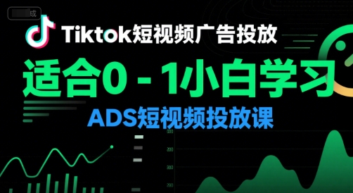 Tiktok短视频广告投放，适合0-1小白学习ADS短视频投放课-董叔项目网
