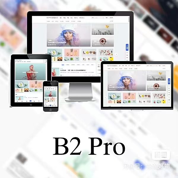 WordPress B2 Pro 主题5.2.0最新开心版,附带官方包体与授权文件-董叔项目网