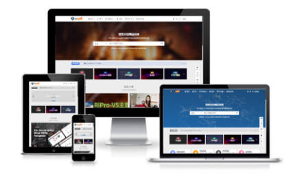 RiPro-V5激活版V7.1.3 RiPro-V5开心版-董叔项目网