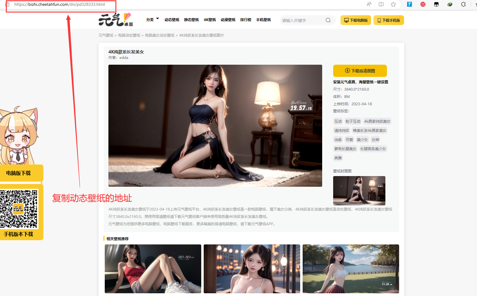 PHP电脑元气动态壁纸在线下载源码-董叔项目网