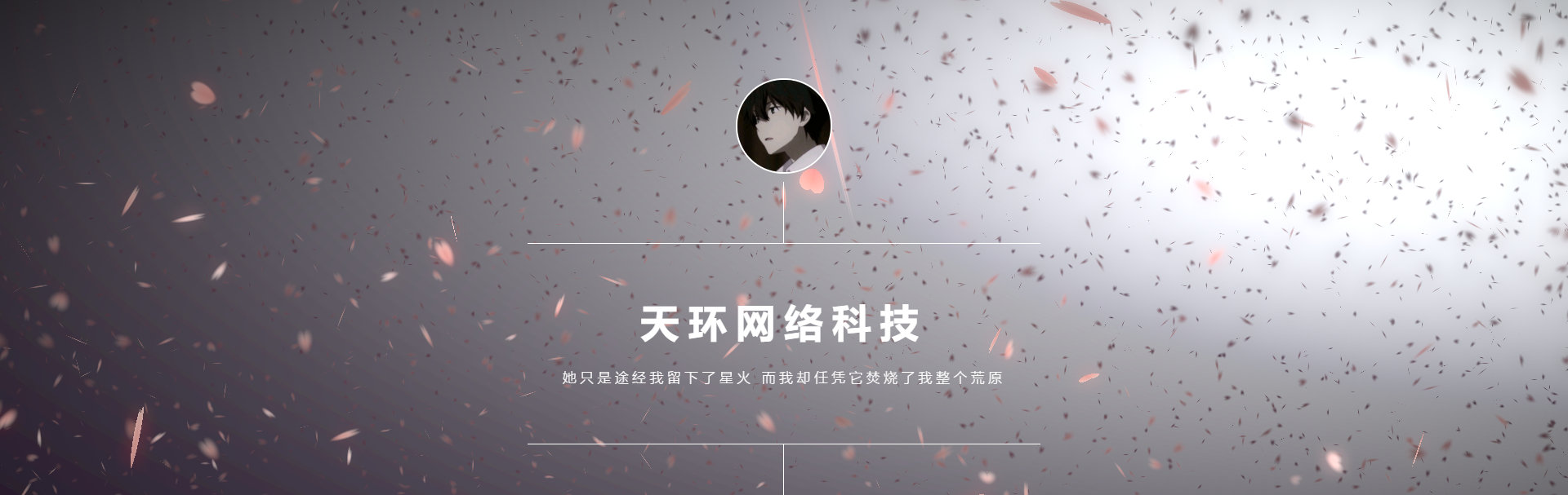 超级好看动态视频官网源码-董叔项目网